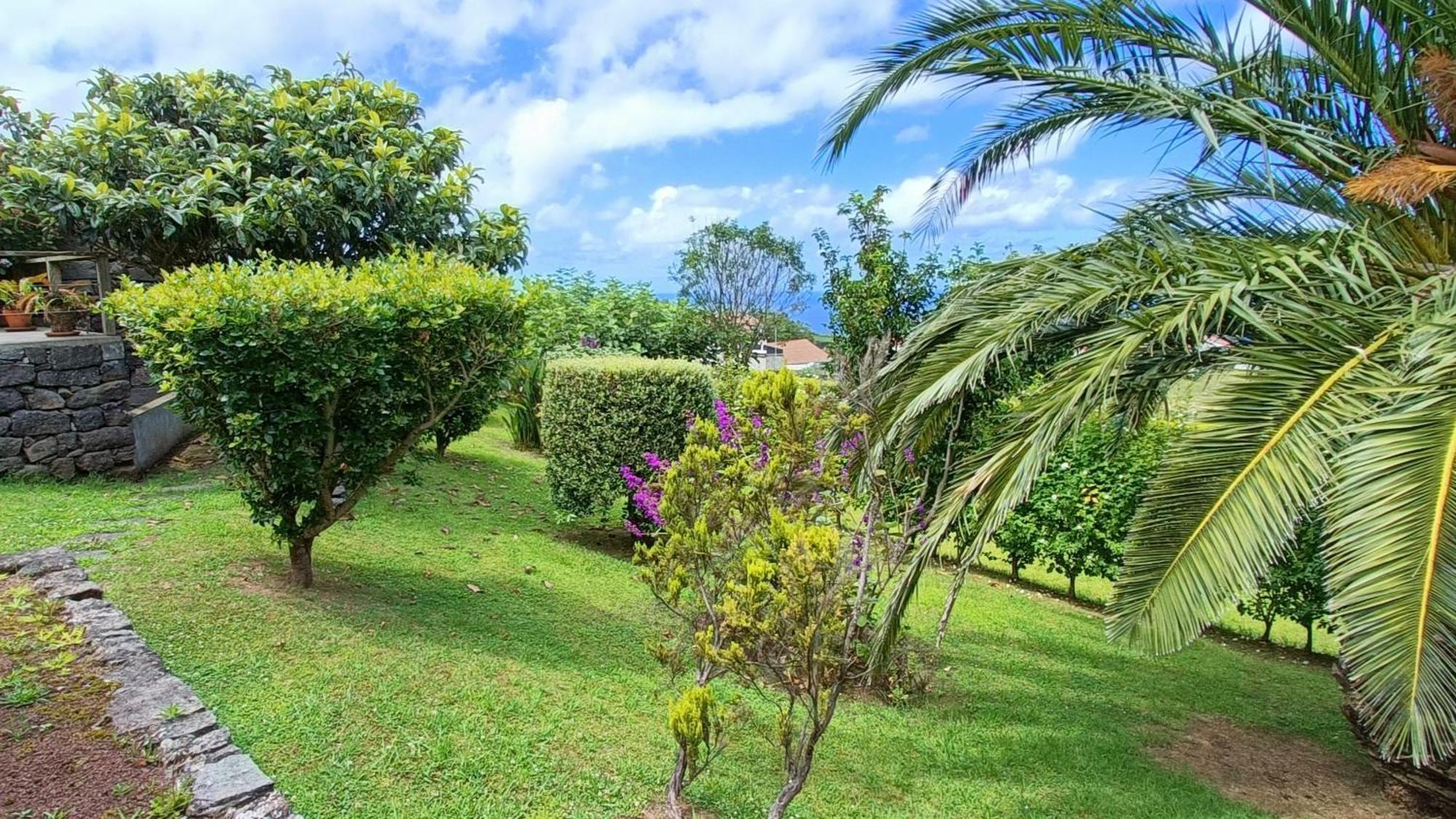 Tradicampo Eco Country Houses Nordeste  Exterior foto