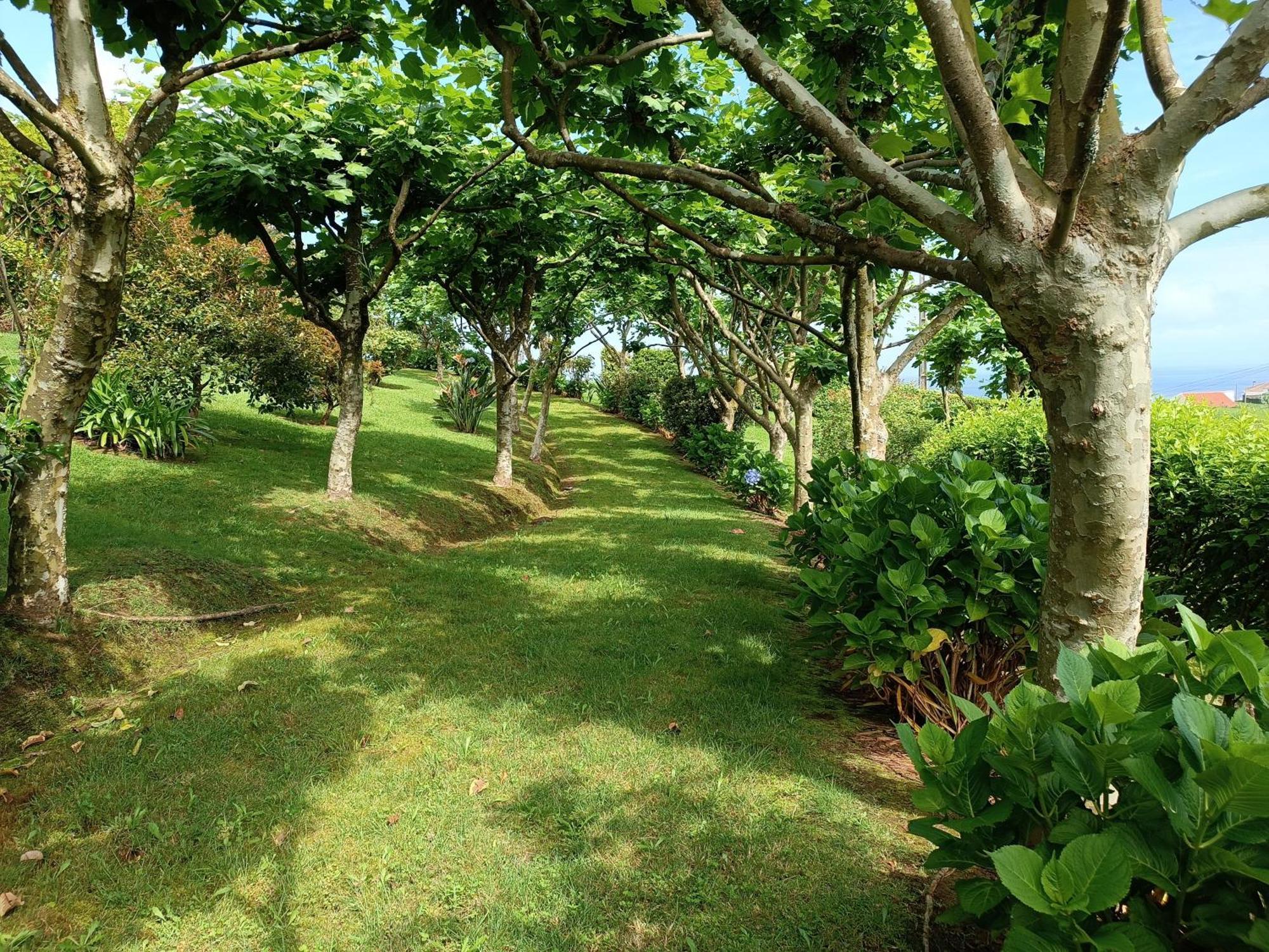 Tradicampo Eco Country Houses Nordeste  Exterior foto